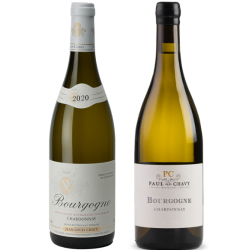 BOURGOGNE BLANC 2020 JEAN LOUIS CHAVY