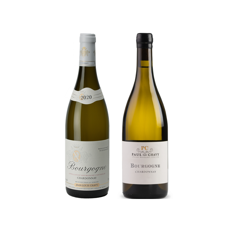 BOURGOGNE BLANC 2020 JEAN LOUIS CHAVY