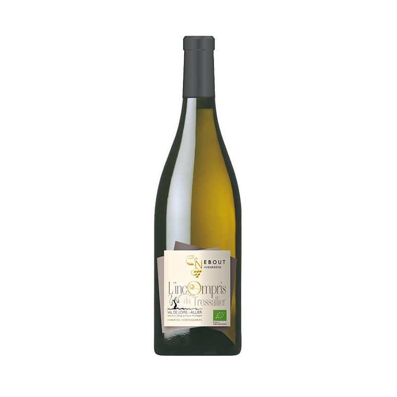ALLIER BLANC NEBOUT - L'INCOMPRIS DU TRESSALIER  - 2024