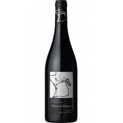 COTES DU RHONE ROUGE LA FLORANE - A FLEUR DE PAMPRE 2021