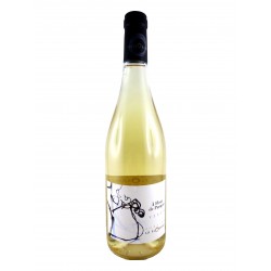 VISAN BLANC 2022 A FLEUR DE PAMPRE
